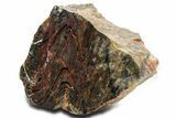 Polished Cambrian Stromatolite Fossil - Czech Republic #363062-2